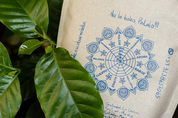 Café Castillo Honey de +86 puntos - Imagen 3