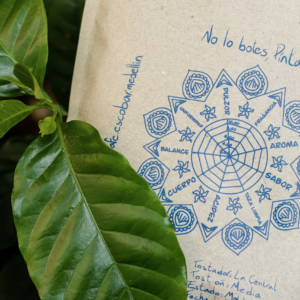 Café Especial. Línea PRESENTE.